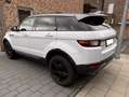 Land Rover Range Rover Evoque Range Rover Evoque TD4 Aut. SkyView Edition Weiß - thumbnail 7