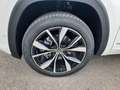 Volkswagen Touareg 2024 ATLAS 2.0 SEL PREMIUM R-LINE WELTNEUHEIT Blanco - thumbnail 13