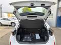 Toyota Yaris Cross 1.5 E FWD Business Edition Weiß - thumbnail 20