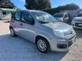 Fiat Panda Panda 1.0 FireFly S&S Hybrid Grigio - thumbnail 4