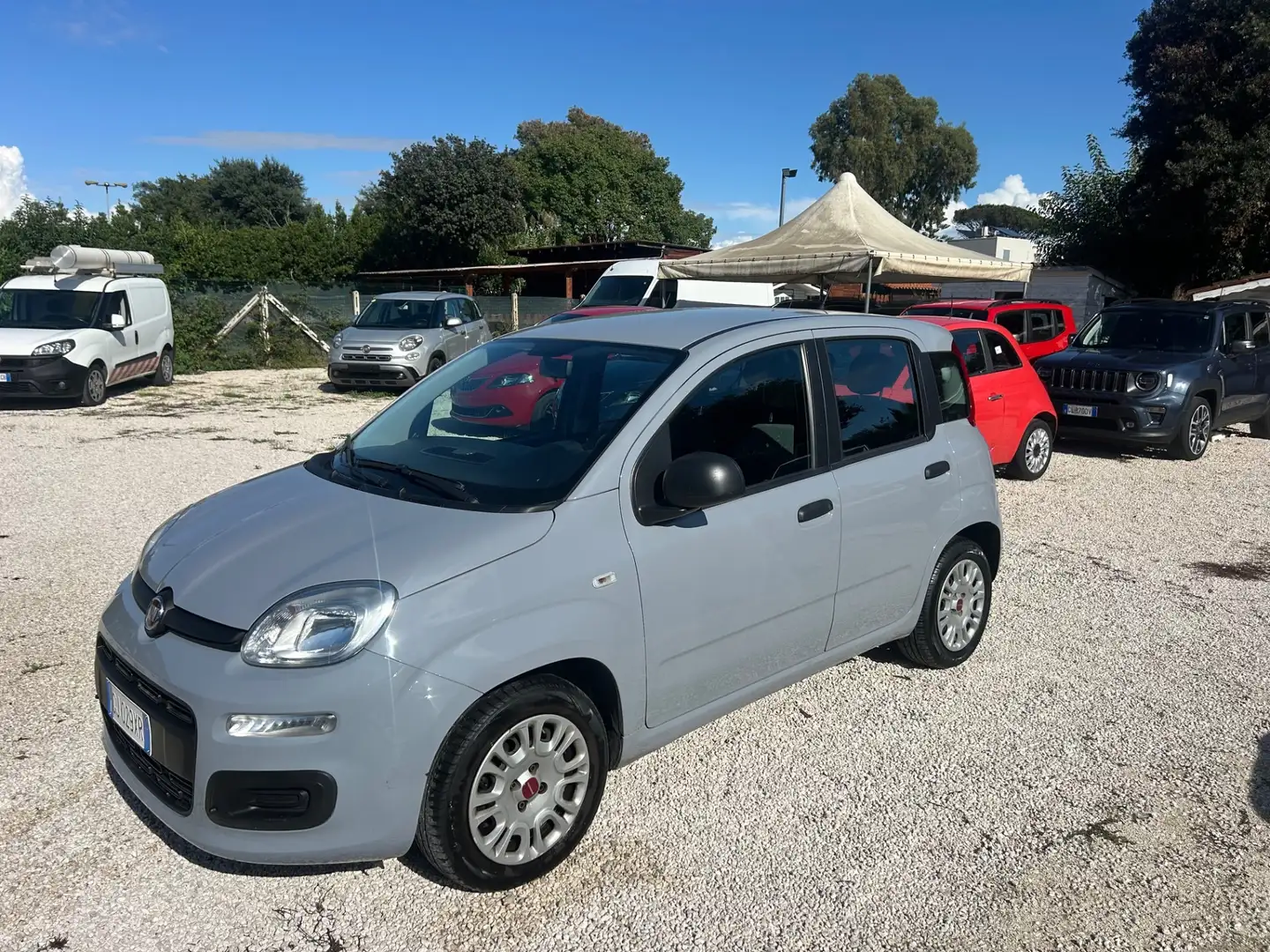 Fiat Panda Panda 1.0 FireFly S&S Hybrid Grigio - 2