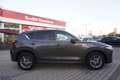 Mazda CX-5 2.0 Bi-Xenon Navi ACC Totwinkel Head-Up PDC Braun - thumbnail 5
