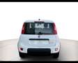 Fiat Panda 1.0 Hybrid 70cv Bianco - thumbnail 6
