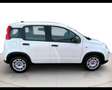 Fiat Panda 1.0 Hybrid 70cv Bianco - thumbnail 8