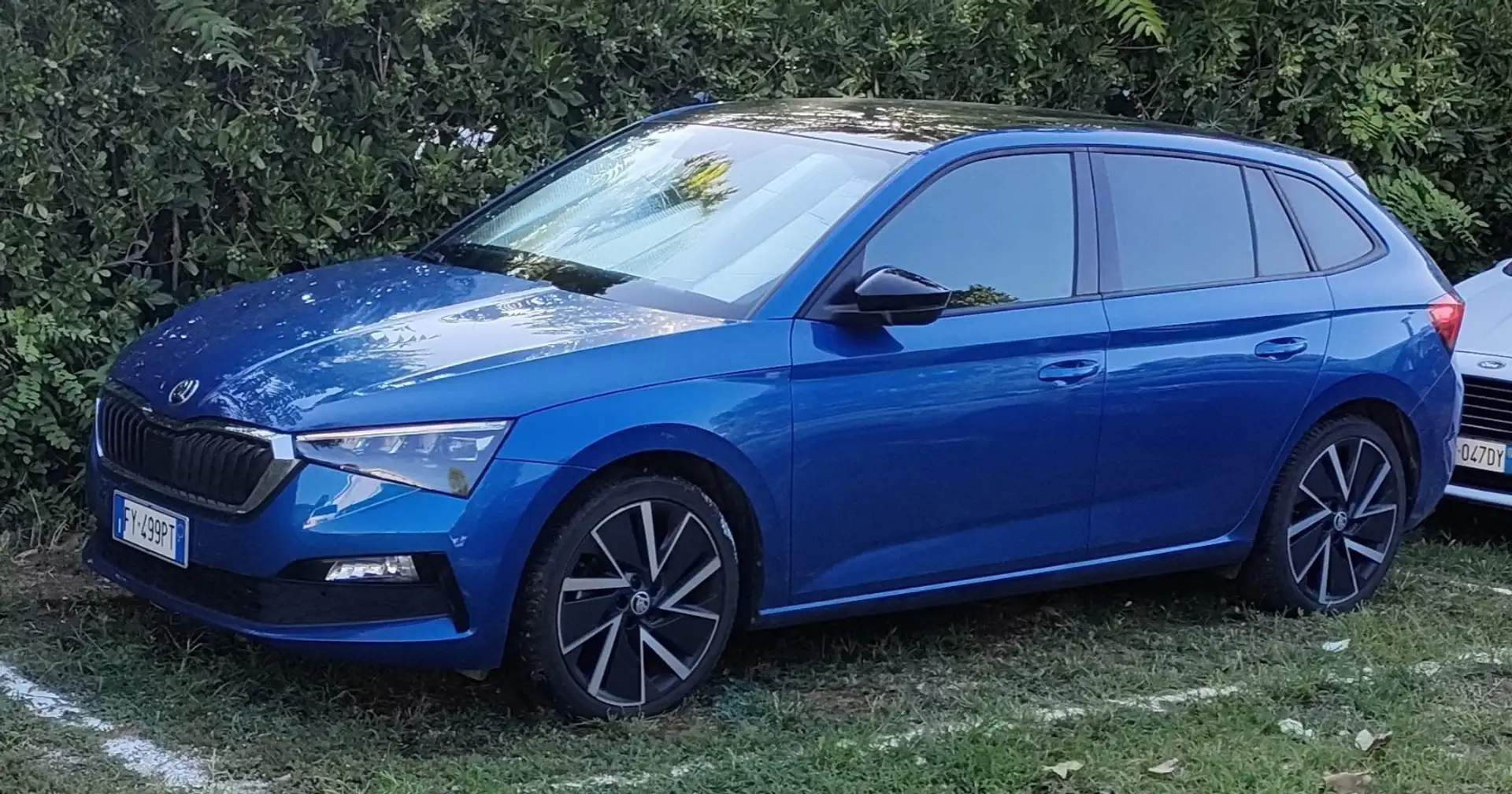 Skoda Scala 1.0 tsi Sport 115cv - 2
