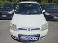 Fiat Panda Panda II 2003 1.4 natural power Climbing Wit - thumbnail 1