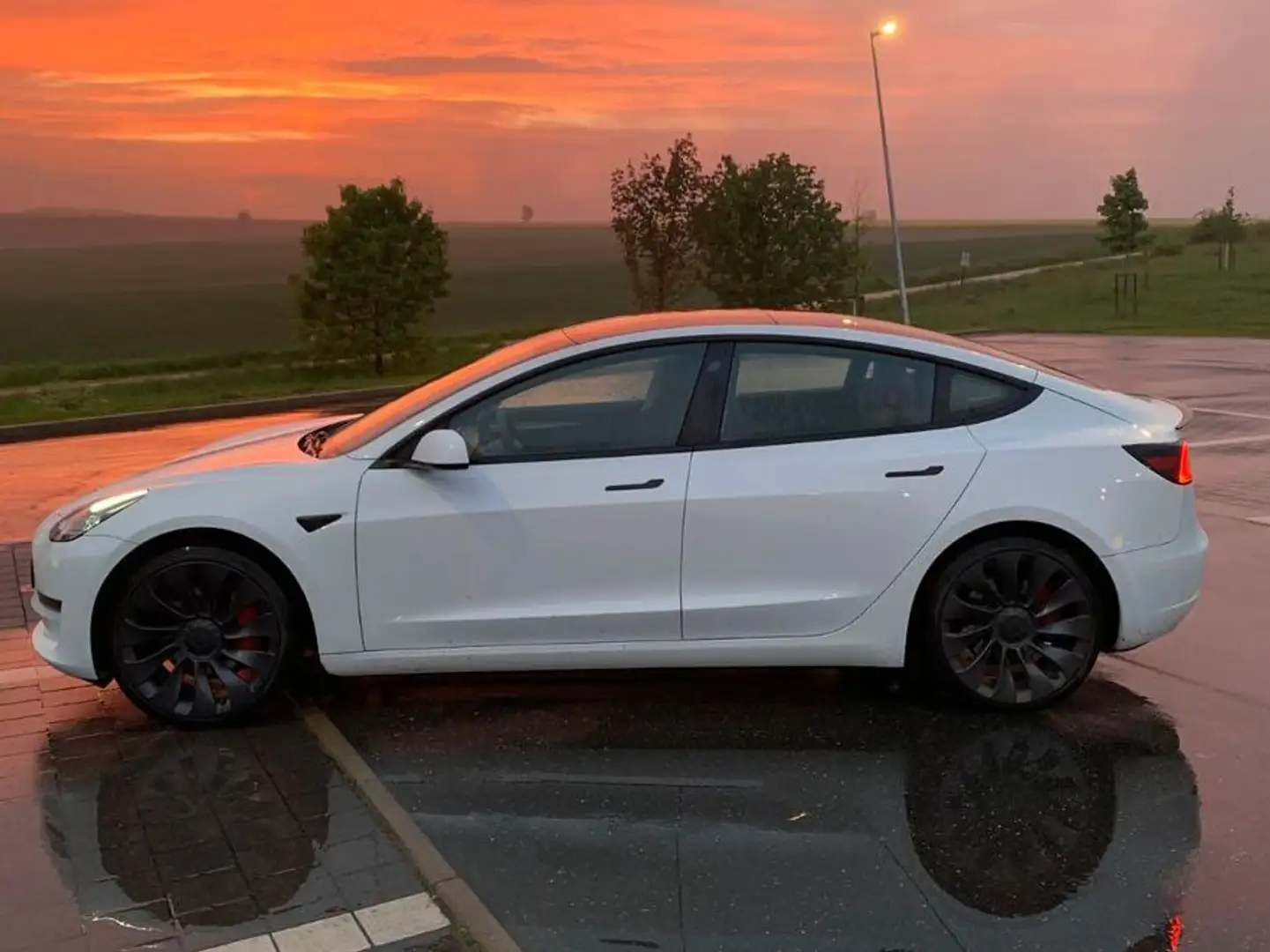 Tesla Model 3 Performance 513PS AWD 20" PANO 4xSH Weiß - 1