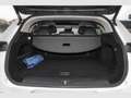 MG Marvel R Performance 360-Kam Panorama Allrad Leder Memory S Weiß - thumbnail 6
