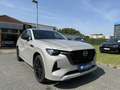 Mazda CX-60 2.5 PHEV 327PS AWD Homura Plus Matrix 360° Argent - thumbnail 2