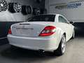 Mercedes-Benz SLK 350 AIRSCARF/HARMAN-KARDON/XENON Bianco - thumbnail 12