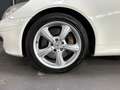 Mercedes-Benz SLK 350 AIRSCARF/HARMAN-KARDON/XENON Bianco - thumbnail 6