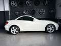 Mercedes-Benz SLK 350 AIRSCARF/HARMAN-KARDON/XENON Weiß - thumbnail 8