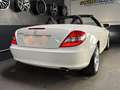 Mercedes-Benz SLK 350 AIRSCARF/HARMAN-KARDON/XENON Bianco - thumbnail 13