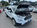 Ford EcoSport " SUPER " EcoSport 1.0 ecoboost Titanium + GANCIO - thumbnail 19