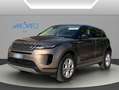 Land Rover Range Rover Evoque Range Rover 2019 2.0d i4 mhev S awd 150cv auto Bronzo - thumbnail 2