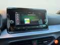 SEAT Ibiza 1.0 TSI 85kW Special Edition Xcellence Gris - thumbnail 12
