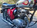 BSA A 65 lightining Rouge - thumbnail 8
