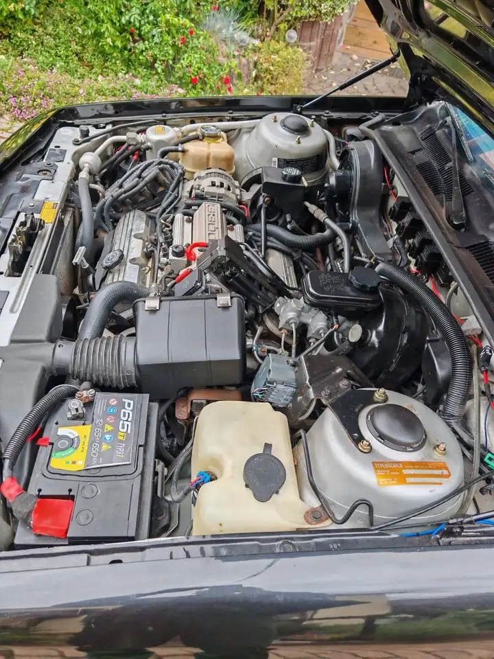 Buick Skylark 3.3 V6 Automatik, foto 9