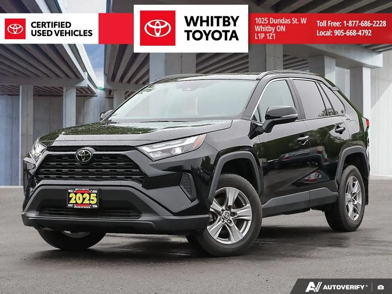 2025 Toyota RAV 4