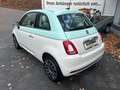 Fiat 500 Collezione Grün - thumbnail 5