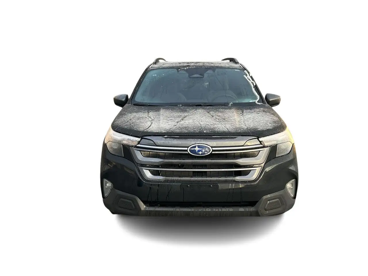 Subaru Forester снимка Subaru Forester