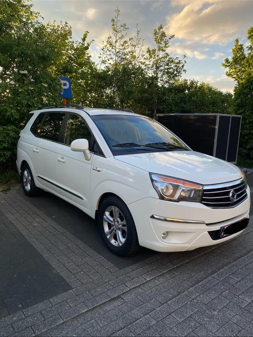 SsangYong Rodius Wit - 2