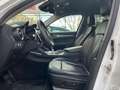 Alfa Romeo Stelvio 2.2 Turbodiesel 210 CV AT8 Q4 Executive Bianco - thumbnail 6