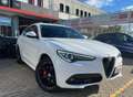Alfa Romeo Stelvio 2.2 Turbodiesel 210 CV AT8 Q4 Executive Bianco - thumbnail 1