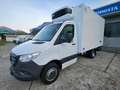 Mercedes-Benz Sprinter 417 CDI T37/35 FRIGO -20 RFCX PEDANA IDRAULICA Weiß - thumbnail 3