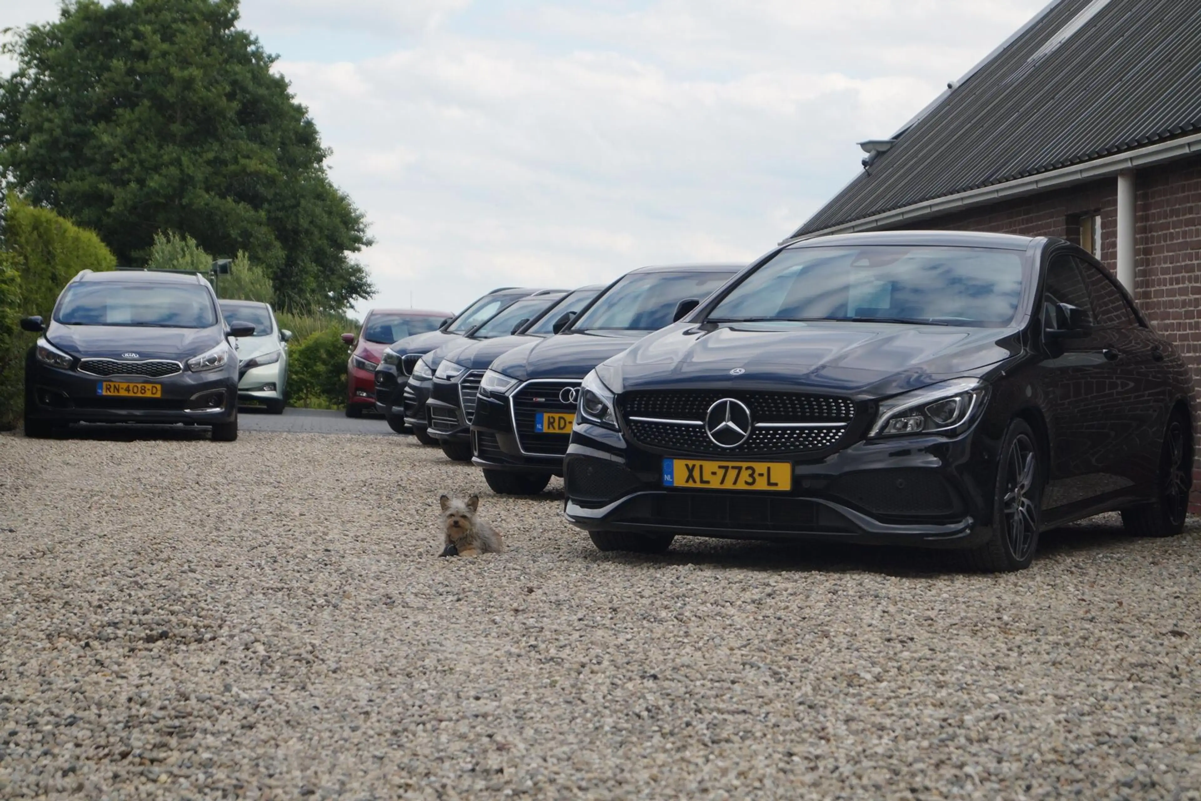 Mercedes-Benz C 63 AMG Estate S Edition 1 — photo 46