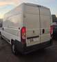 Peugeot Boxer furgone Bianco - thumbnail 7