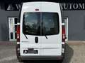 Renault Trafic L2H2 2.0DCI 1.Hand,MwsT Wit - thumbnail 10