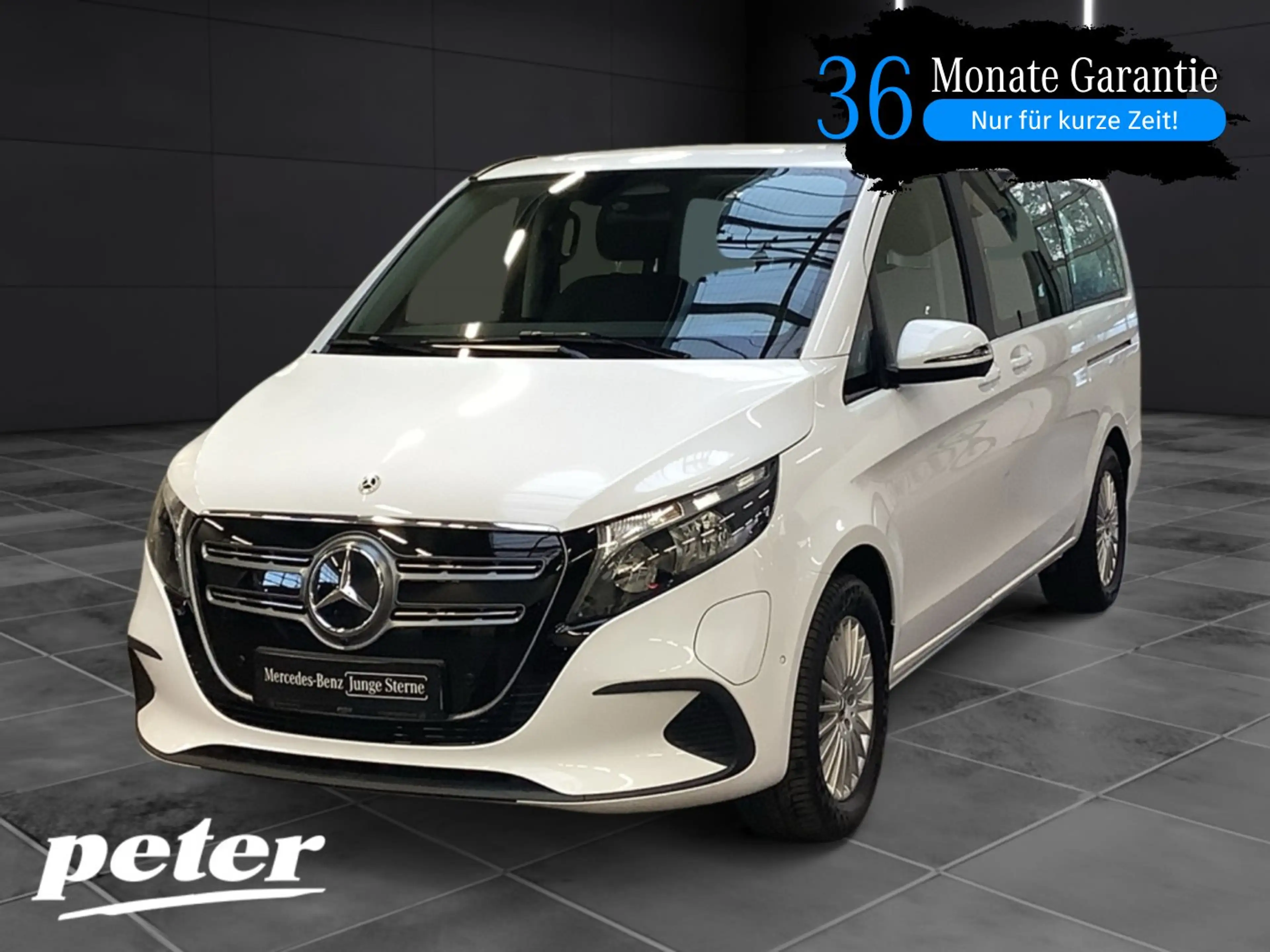 Mercedes-Benz EQV 250 Rückfahrkamera