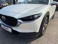 Mazda CX-30 X180 AWD 100 Years Weiß - thumbnail 3