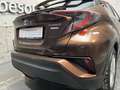 Toyota C-HR 1,8 Hybrid C-HIC + Navi Braun - thumbnail 5