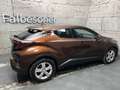 Toyota C-HR 1,8 Hybrid C-HIC + Navi Braun - thumbnail 4