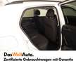 Volkswagen Polo Austria Blanc - thumbnail 11