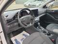 Hyundai IONIQ Ioniq Plug-In Hybrid,AHK,Sitzh.,DAB, Klima Blanco - thumbnail 17
