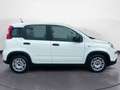 Fiat New Panda 1.0 FireFly Hybrid City Life Blanc - thumbnail 6