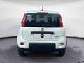 Fiat New Panda 1.0 FireFly Hybrid City Life Blanc - thumbnail 4