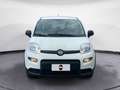 Fiat New Panda 1.0 FireFly Hybrid City Life Blanc - thumbnail 8