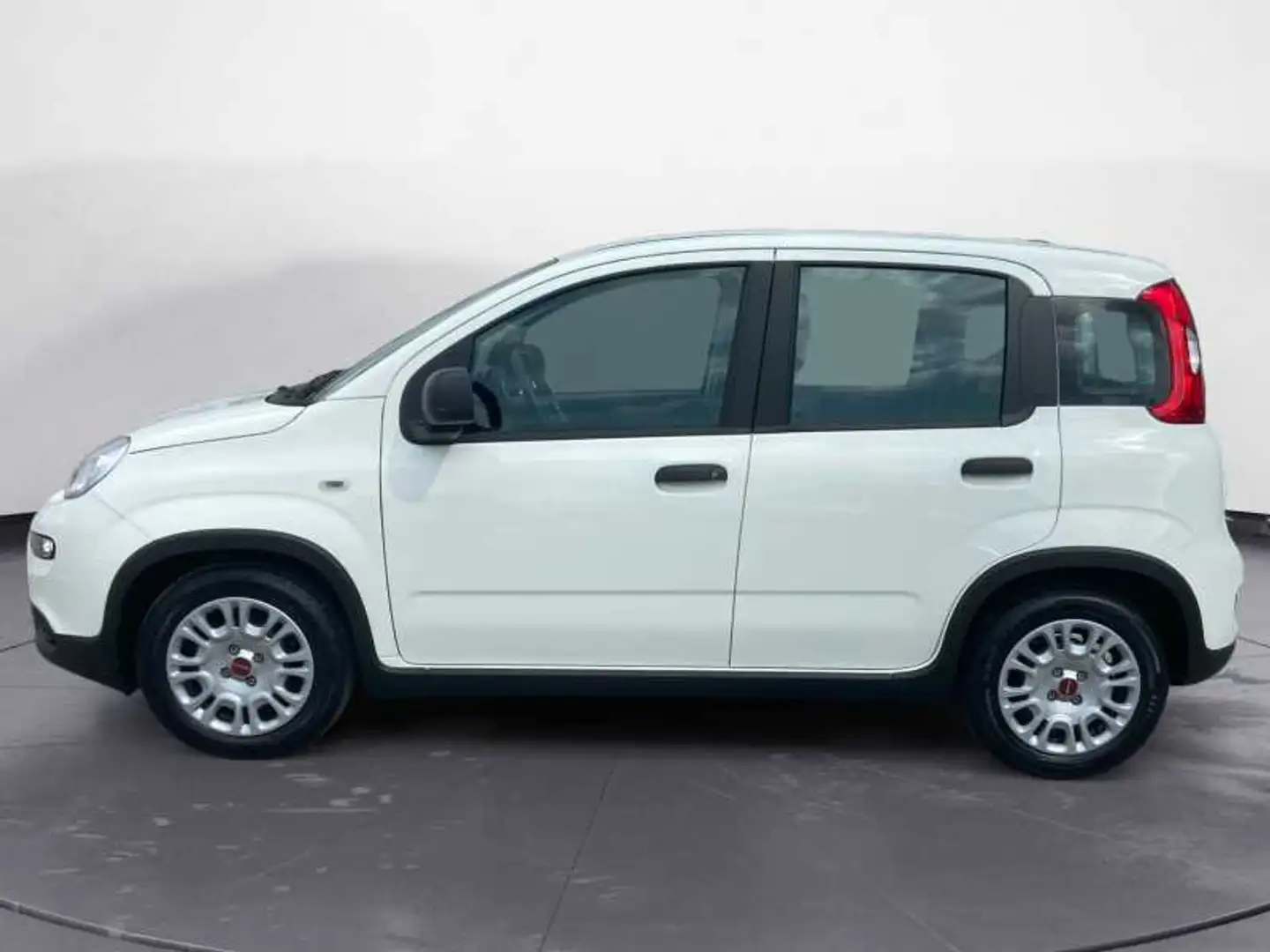 Fiat New Panda 1.0 FireFly Hybrid City Life Blanc - 2