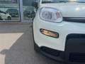 Fiat New Panda 1.0 FireFly Hybrid City Life Blanc - thumbnail 20