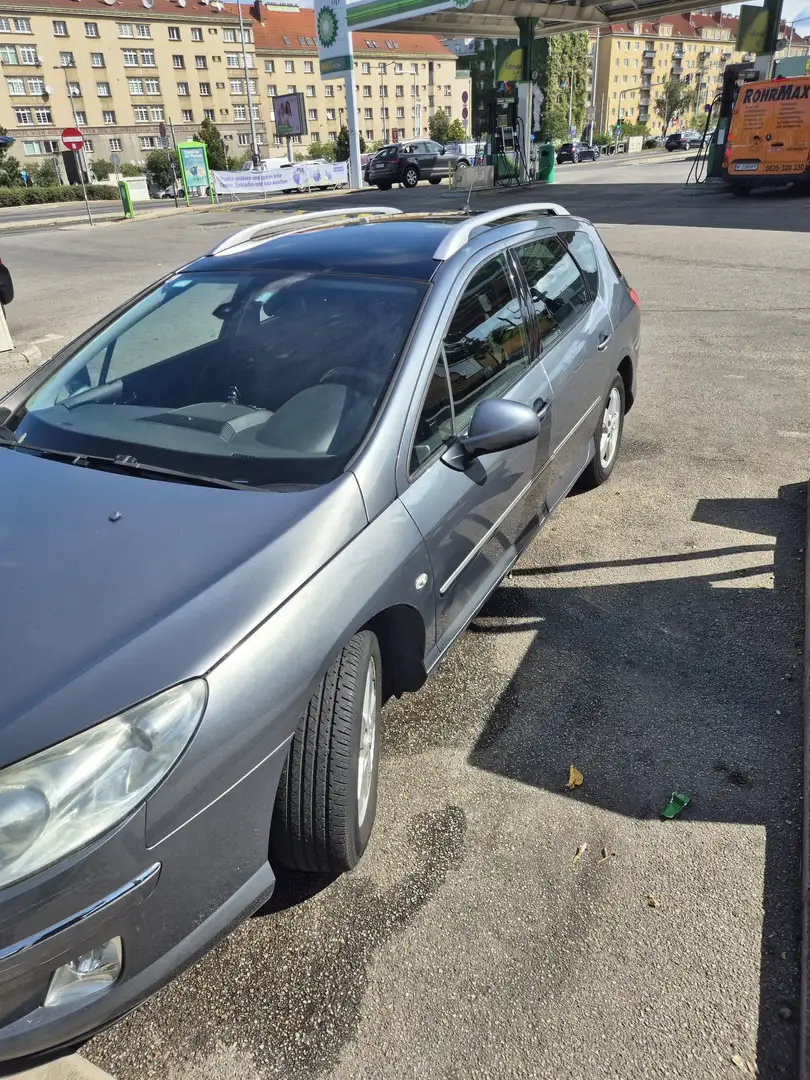 Peugeot 407 SW Professional Line 1,6 HDI 110 (FAP) Grau - 1