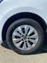 Renault Kangoo *PROMO* 1.5 Blue dCi 75CV Edition One Bianco - thumbnail 13