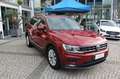 Volkswagen Tiguan 1.6 TDI SCR Sport BlueMotion Technology Rouge - thumbnail 6