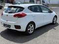Kia Ceed / cee'd cee'd 1,4 MPI Titan Weiß - thumbnail 5