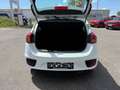 Kia Ceed / cee'd cee'd 1,4 MPI Titan Weiß - thumbnail 20