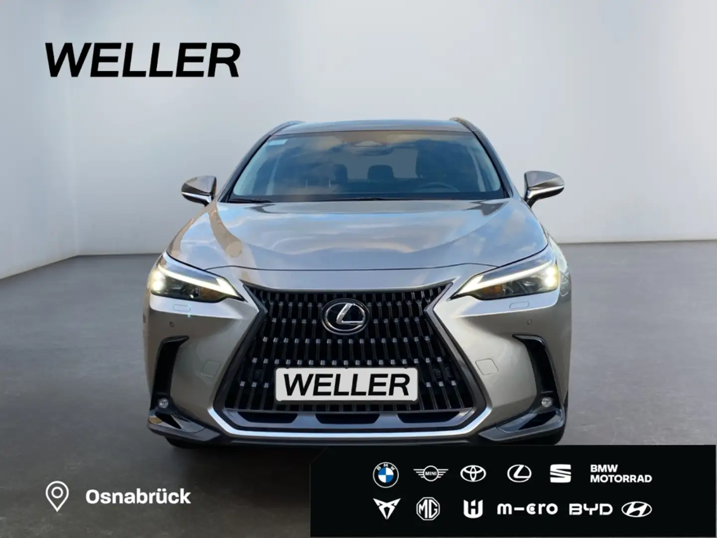 Lexus E-FOUR Executive Line *AHK*360°*el Heck* Stříbrná - 2