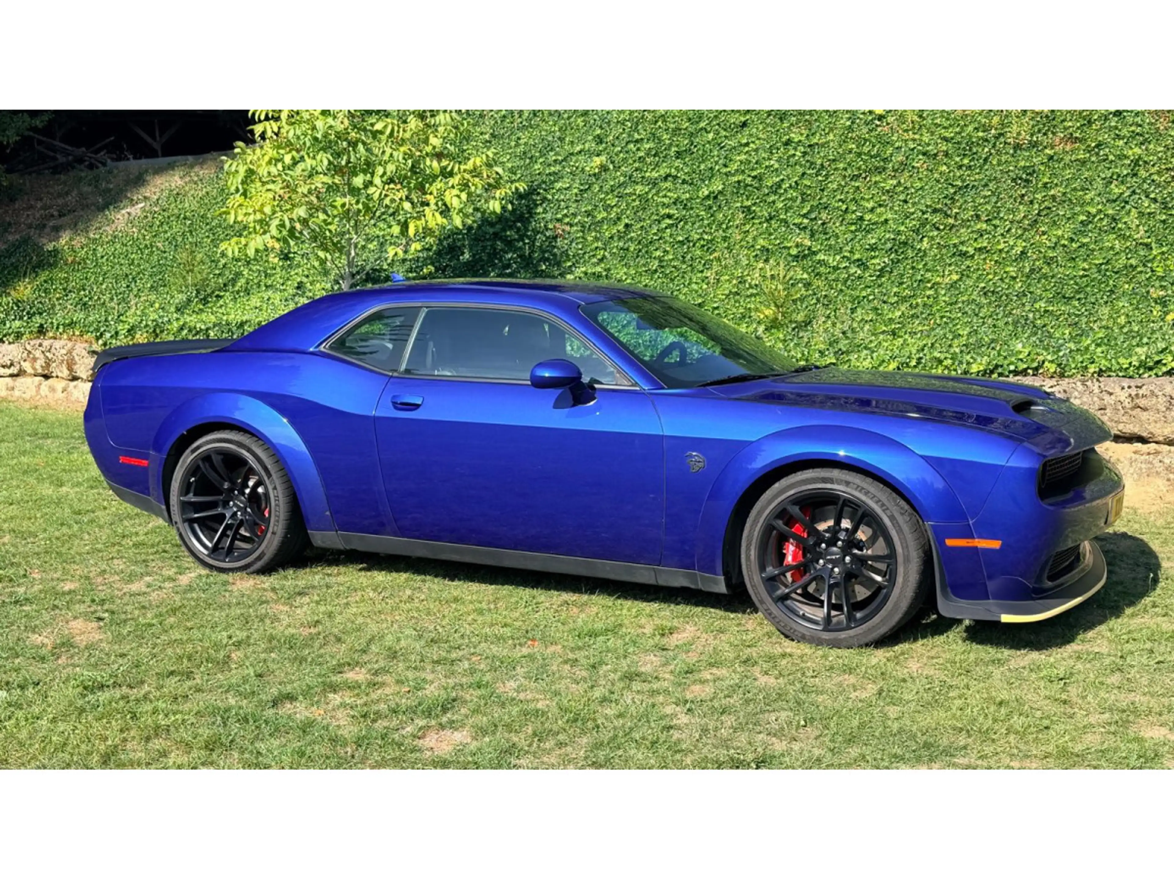 Dodge Challenger 6.2 SRT Redeye Auto. — photo 9